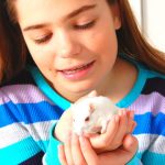 How to Hold Your Gerbil Safely and Comfortably
