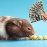 The Cost of Keeping Gerbils as Pets