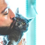 How To Make Your British Shorthair Love You
