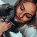 How To Deal With British Shorthair Allergies